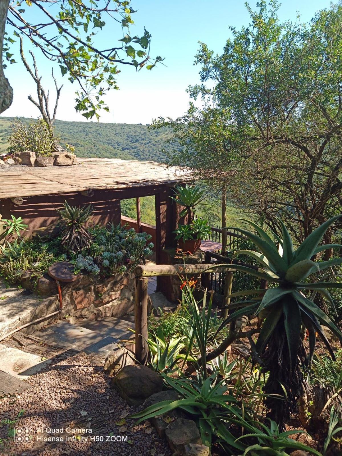 Leopards And Louries Bush Lodge Camperdown Extérieur photo